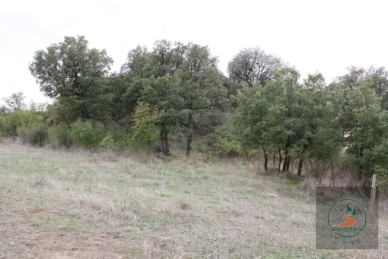 Тракийска гробница Александрово (Хасково)