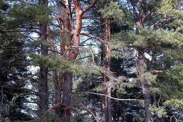 Бекови скали - 3