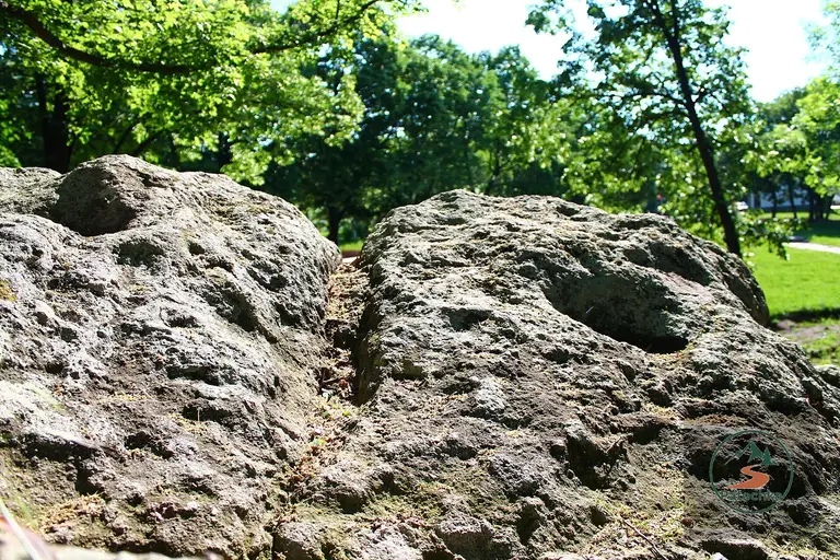 Богородична стъпка