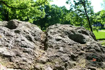 Богородична стъпка - 2