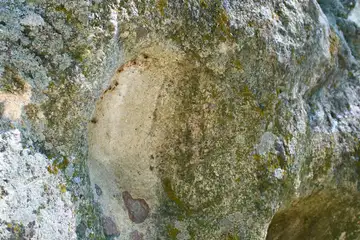 Богородична стъпка - 3