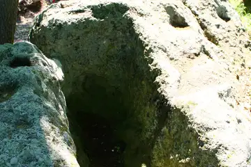 Богородична стъпка - 4