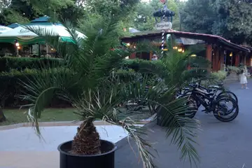 Крайморска алея – Бургас (Морската градина) - 7