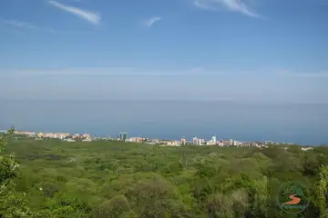 Парк “Златни пясъци” – природни пътеки - 5