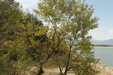 Язовир Копринка – крайбрежни разходки - 1