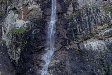 Райското пръскало - 5