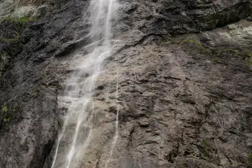 Райското пръскало - 6