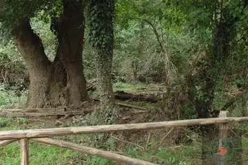 Резерват Ропотамо - 1