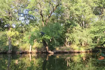 Резерват Ропотамо - 4