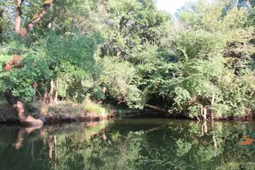 Резерват Ропотамо - 5