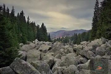 Каменна река на Витоша - 3