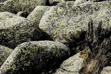 Каменна река на Витоша - 5